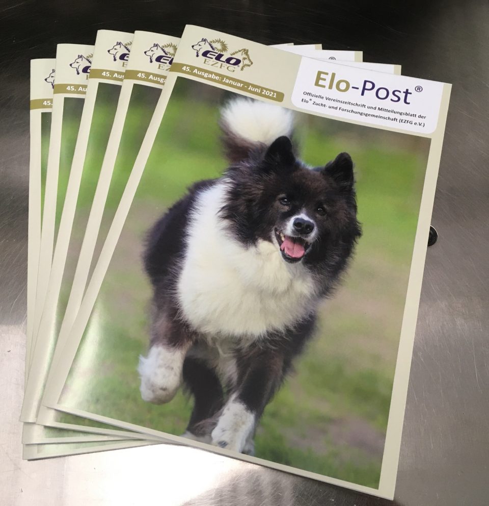 ELO-Post